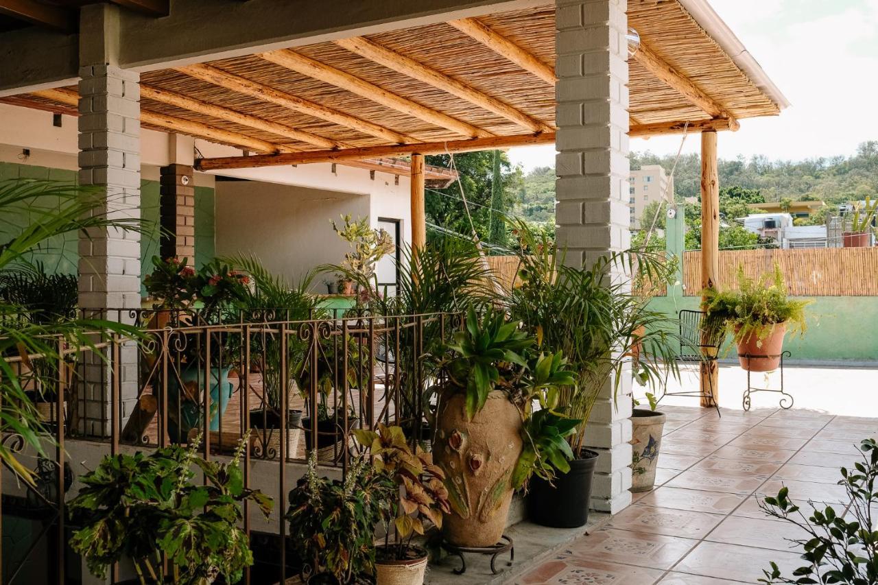 Sunshine House - Made By Artists Villa Oaxaca Exterior photo